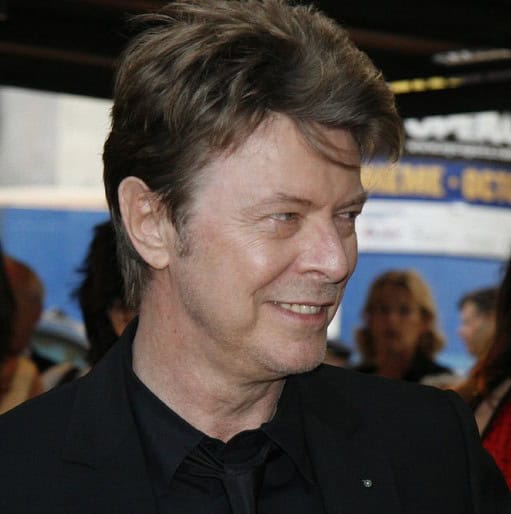 David Bowie Actor and musician
