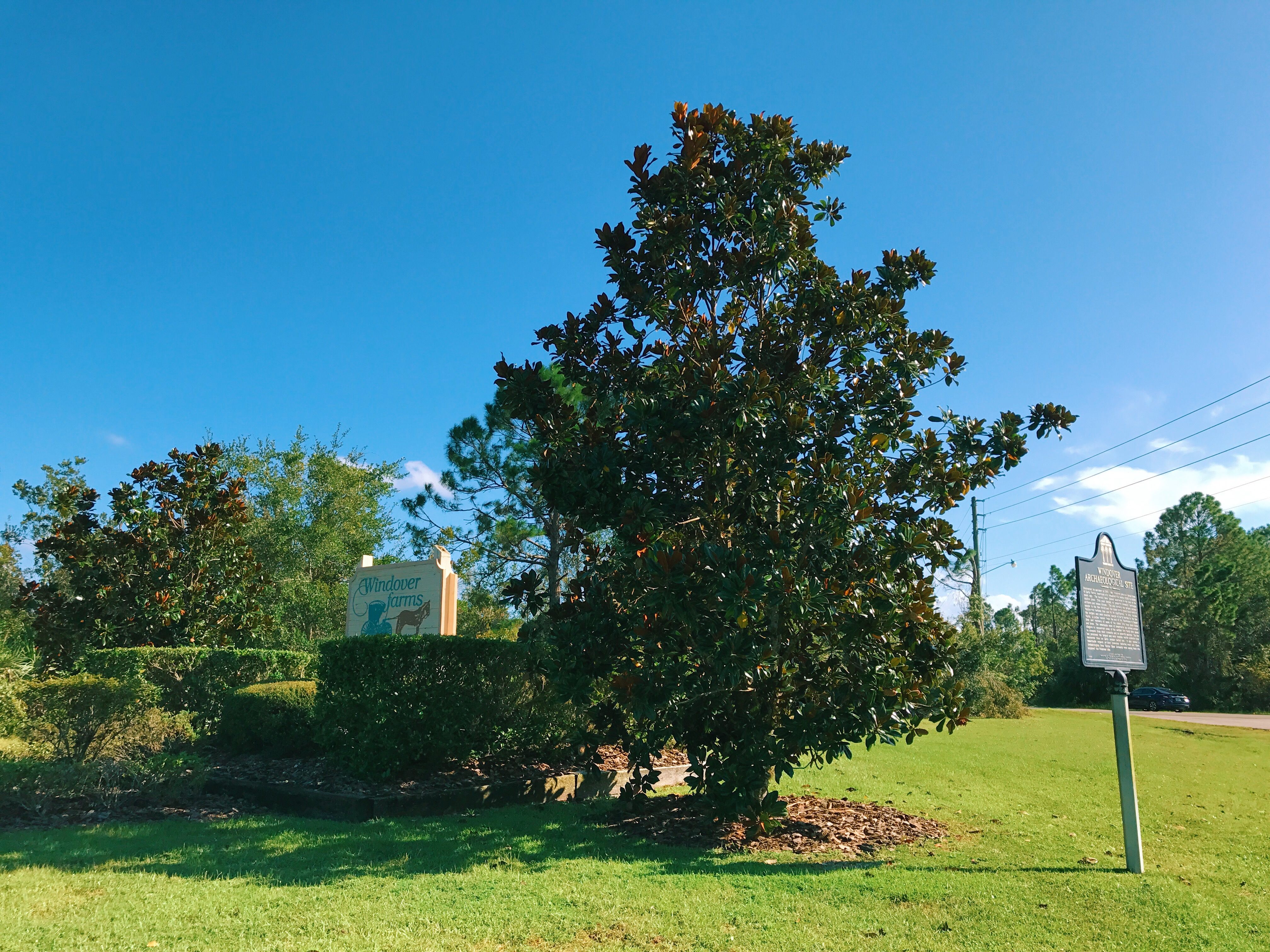 It would be easy to overlook the Windover Archaeological Site, which is marked by a simple sign.